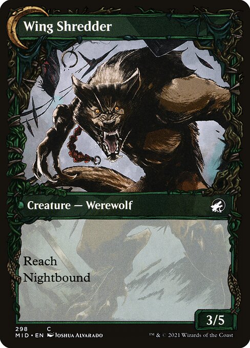 Bird Admirer // Wing Shredder (back face)