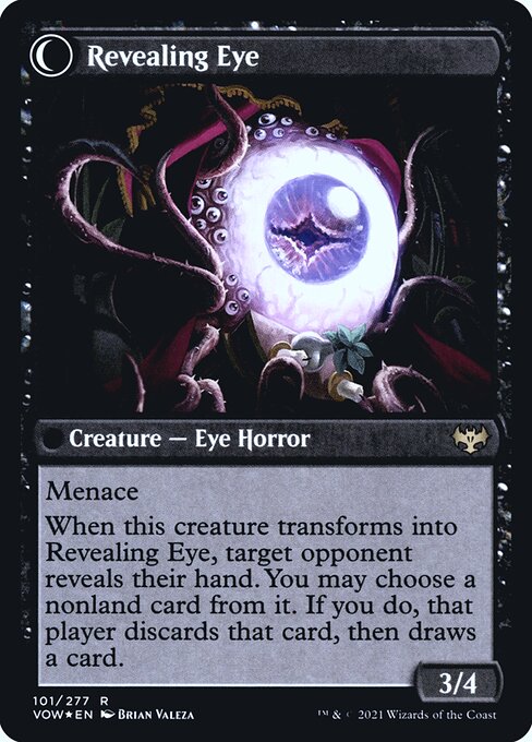 Concealing Curtains // Revealing Eye (back face)