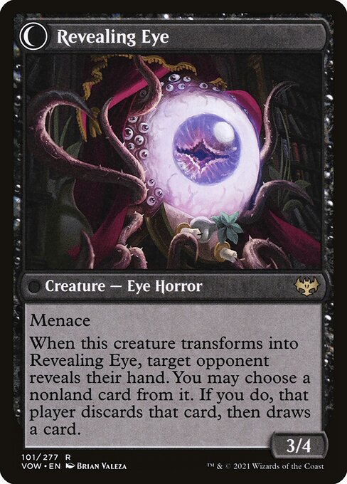 Concealing Curtains // Revealing Eye (back face)
