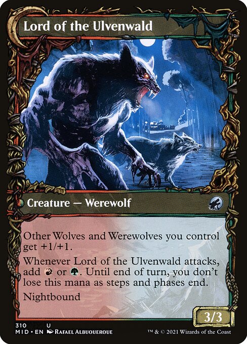 Kessig Naturalist // Lord of the Ulvenwald (back face)