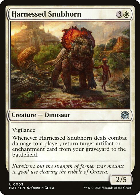 Harnessed Snubhorn