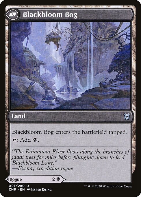 Blackbloom Rogue // Blackbloom Bog (back face)