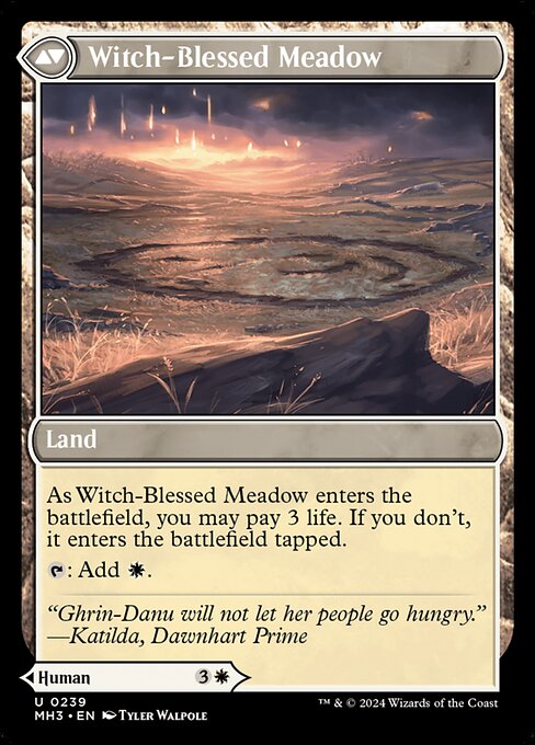 Witch Enchanter // Witch-Blessed Meadow (back face)
