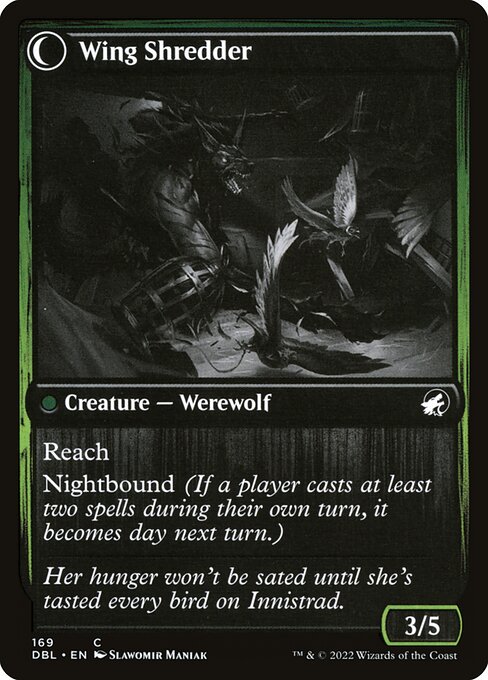 Bird Admirer // Wing Shredder (back face)