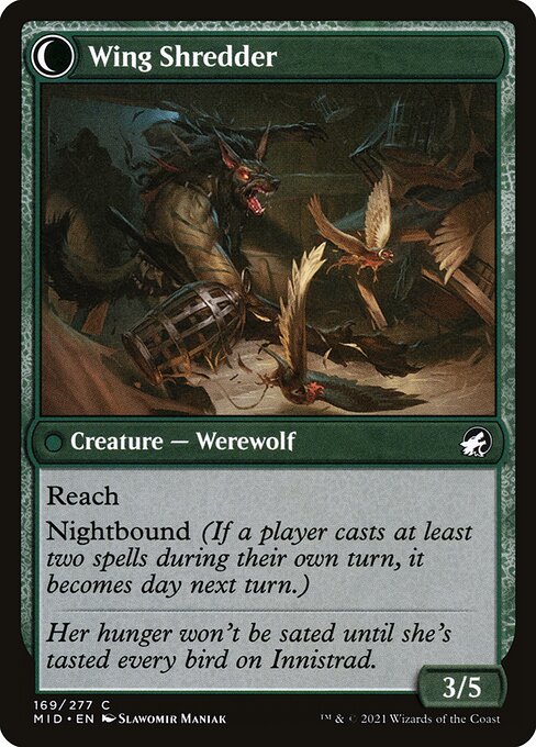 Bird Admirer // Wing Shredder (back face)