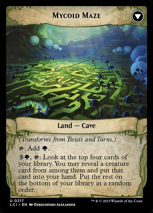 Twists and Turns // Mycoid Maze (back face)