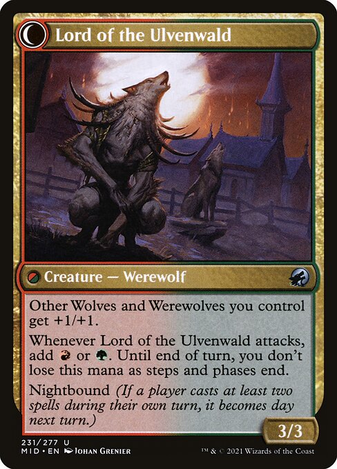 Kessig Naturalist // Lord of the Ulvenwald (back face)