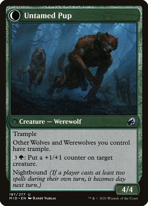 Hound Tamer // Untamed Pup (back face)