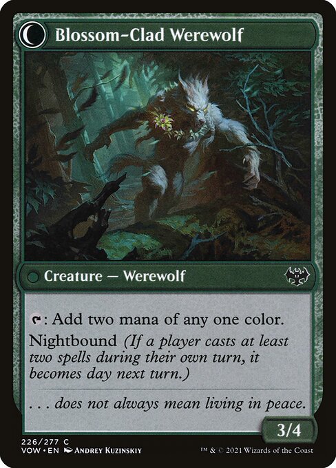 Weaver of Blossoms // Blossom-Clad Werewolf (back face)