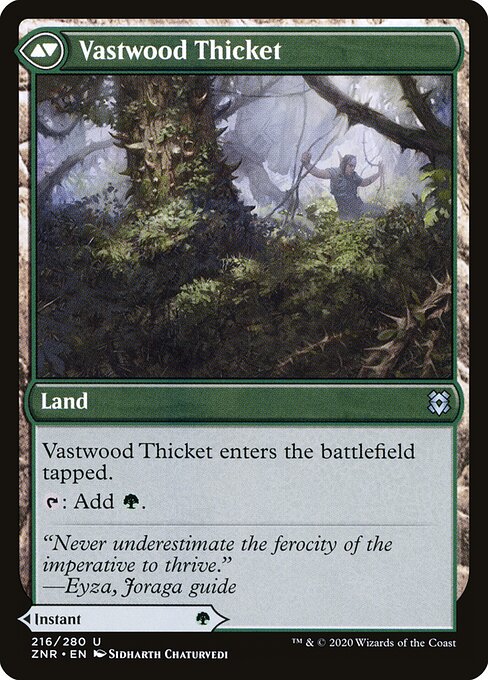 Vastwood Fortification // Vastwood Thicket (back face)